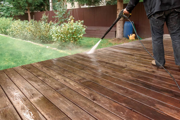 Best Vinyl Siding Pressure Washing in Carbondale, PA